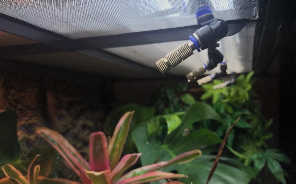 Planted Terraria Exotics