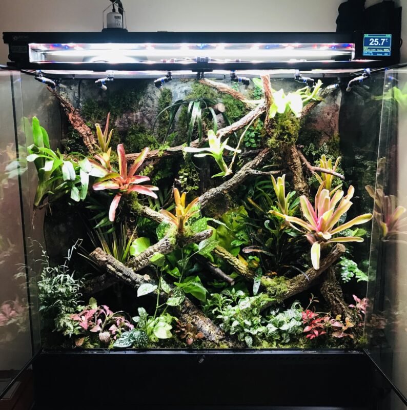 Planted Terraria Exotics
