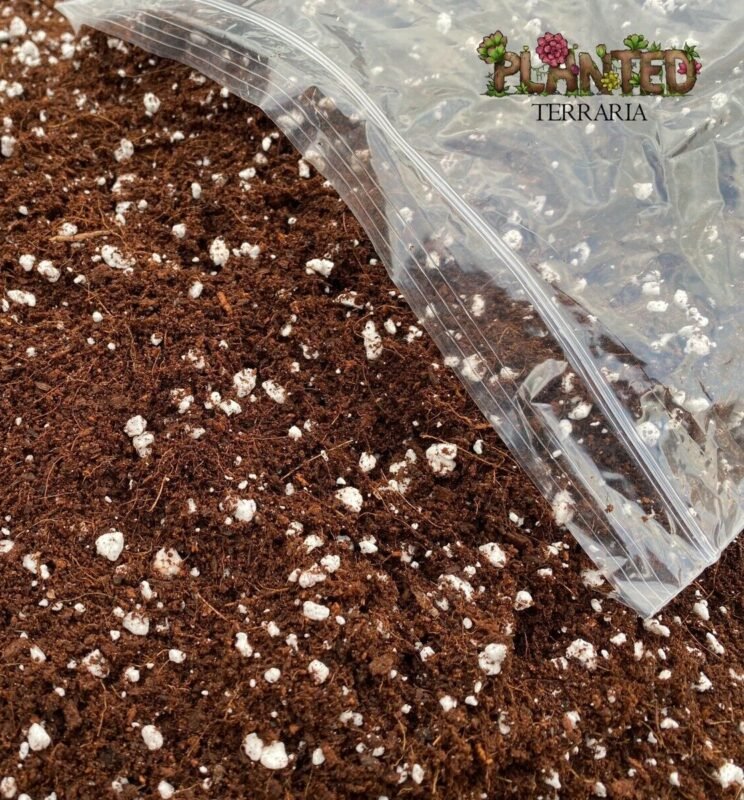 Planted Terraria Exotics