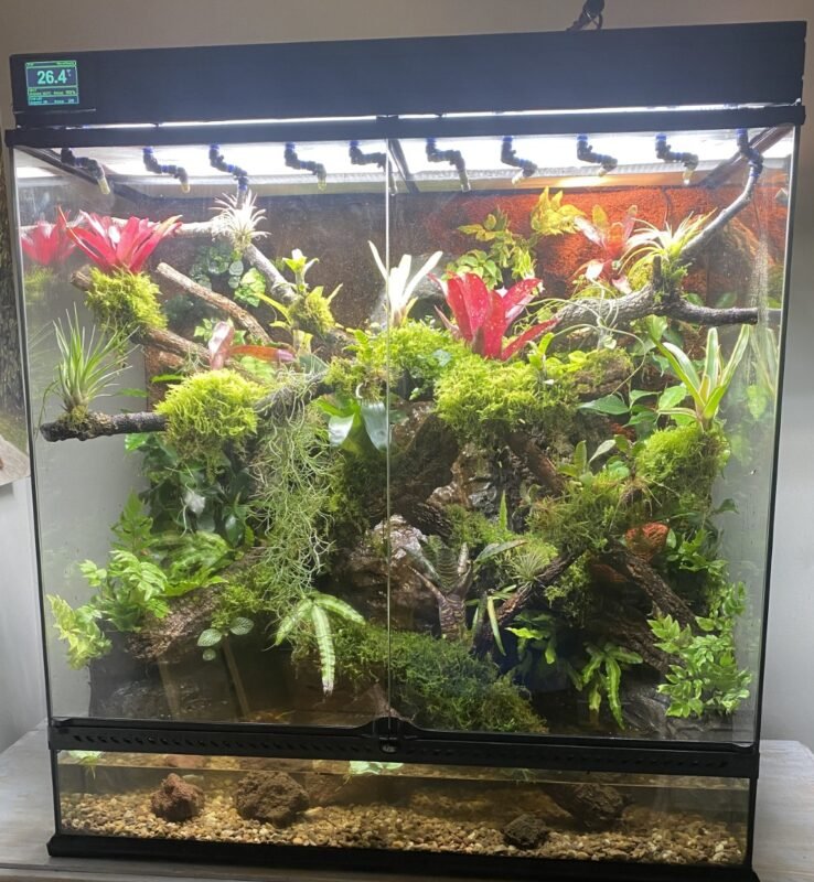 Planted Terraria Exotics