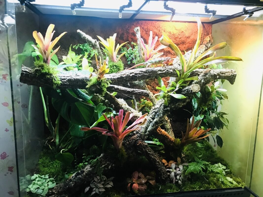Planted Terraria Exotics