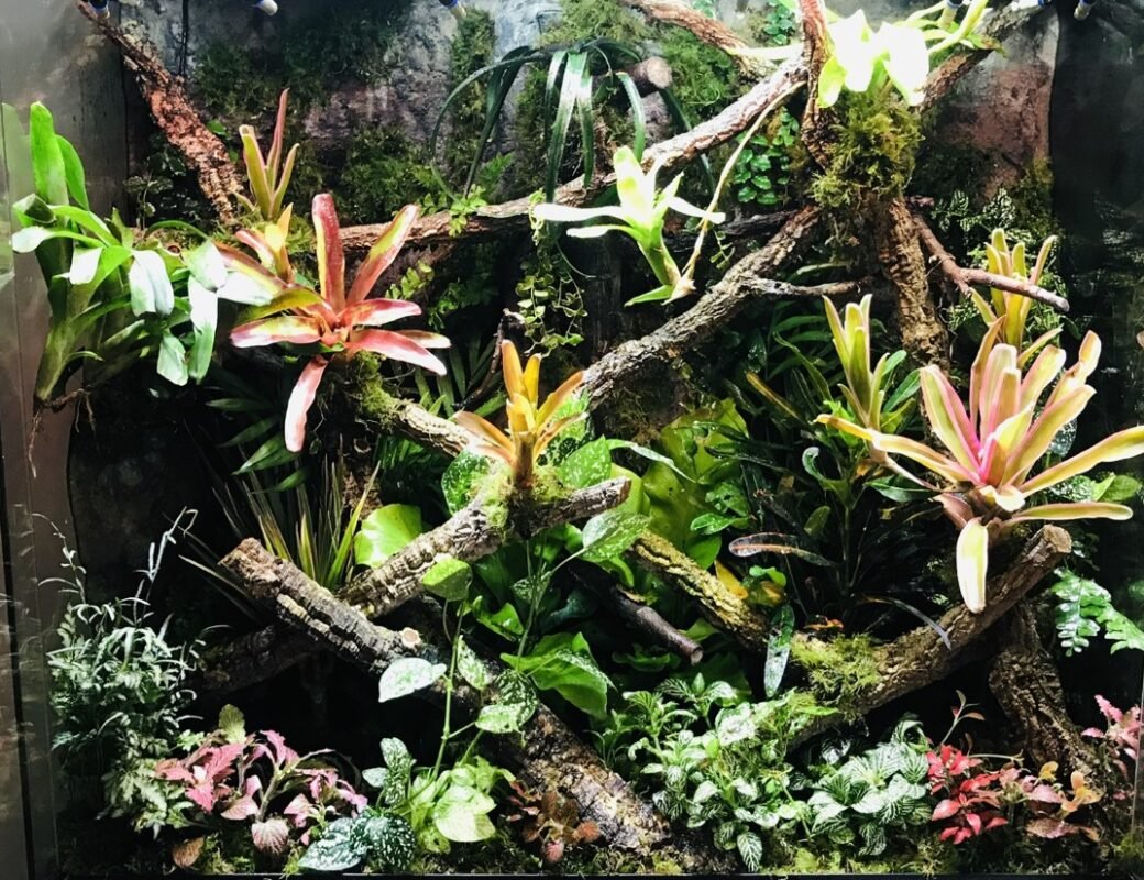Planted Terraria Exotics