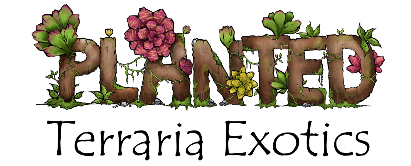 Planted Terraria Exotics