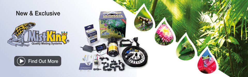 Planted Terraria Exotics