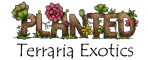 Planted Terraria Exotics