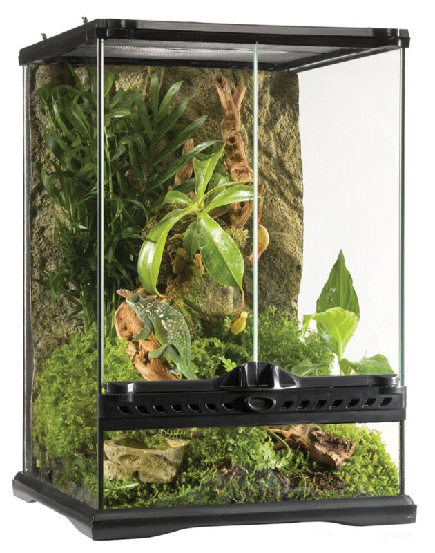 Planted Terraria Exotics