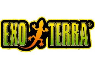 Planted Terraria Exotics