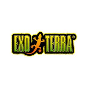 Planted Terraria Exotics