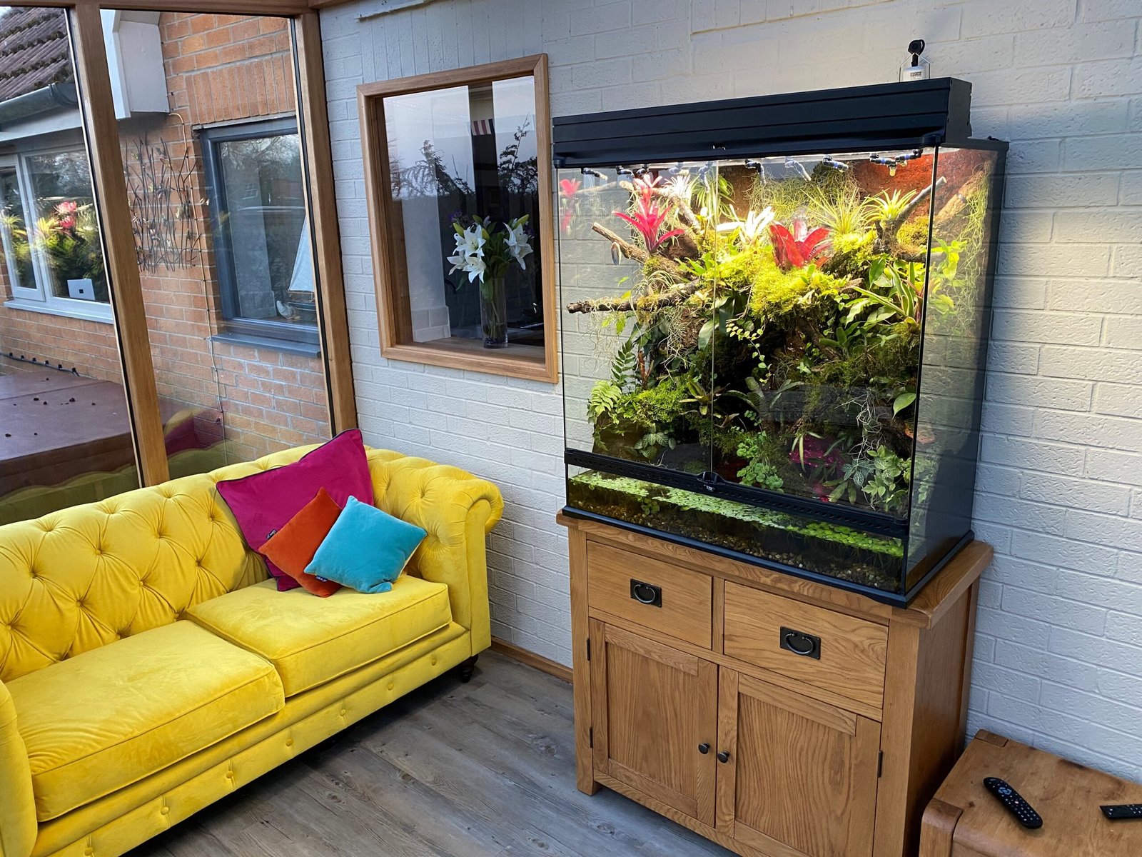 Planted Terraria Exotics