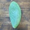 Opuntia Pads (Prickly Pear) Per KG