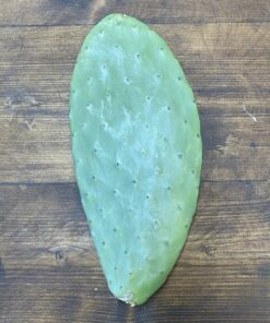 Opuntia Pads (Prickly Pear)