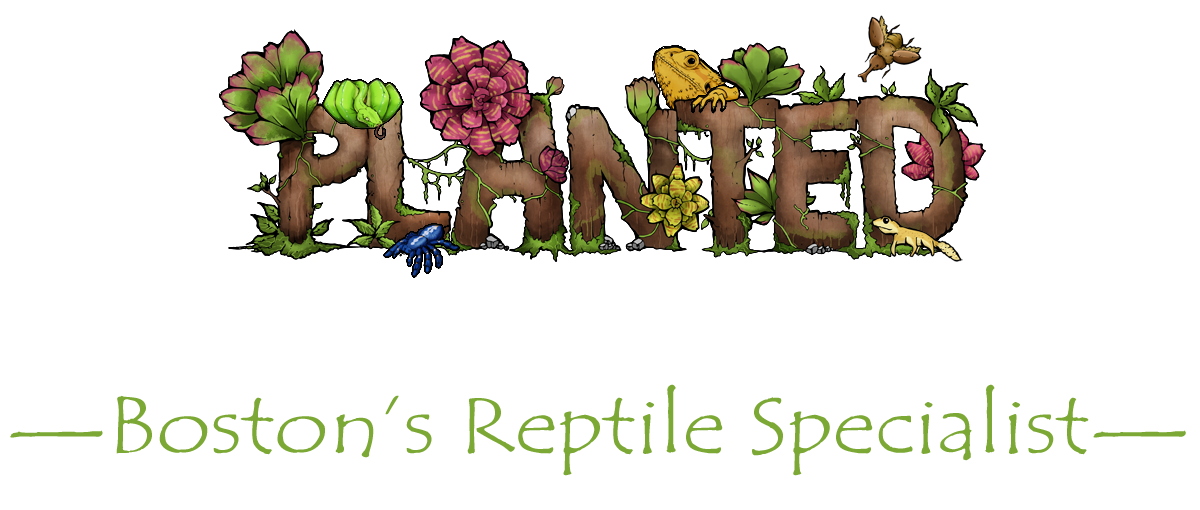 Planted Terraria Exotics