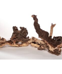 Monpai 60-80cm